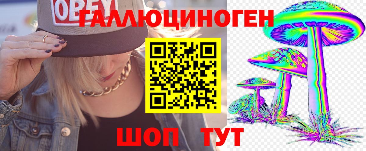 Галлюциногенные грибы мицелий Приморско-Ахтарск